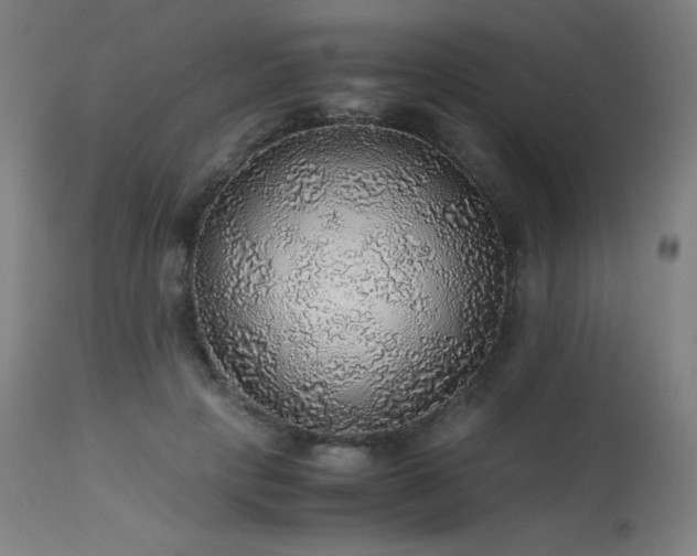 X0000114170649200910081524