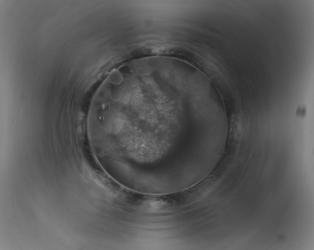 X0000114170650200910081524