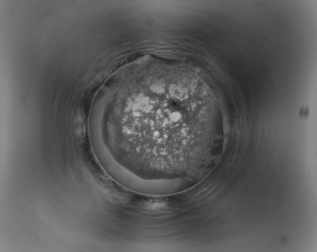 X0000114170651200910081524