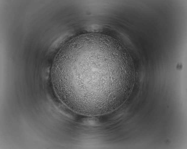 X0000114170652200910081524