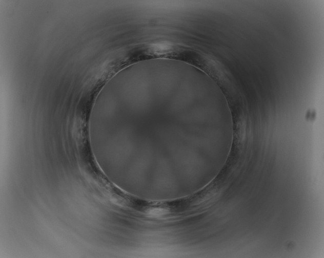 X0000114170653200910081524