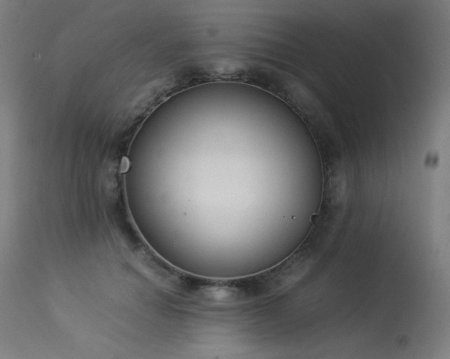 X0000114170654200910081524