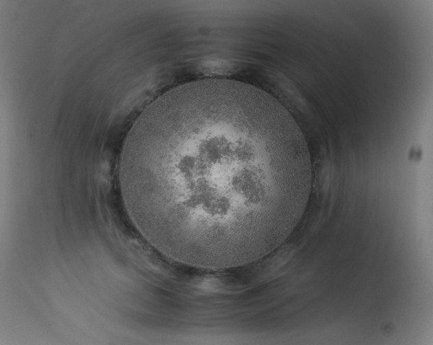 X0000114170655200910081524