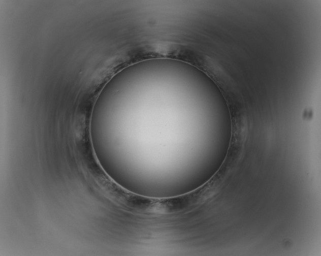 X0000114170656200910081524