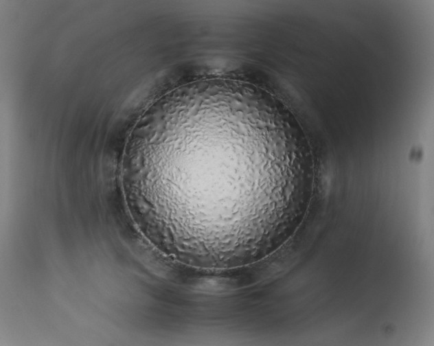 X0000114170657200910081524