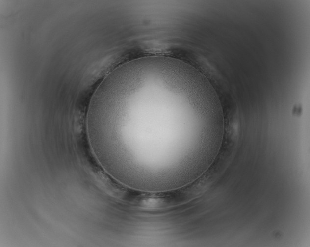 X0000114170658200910081524