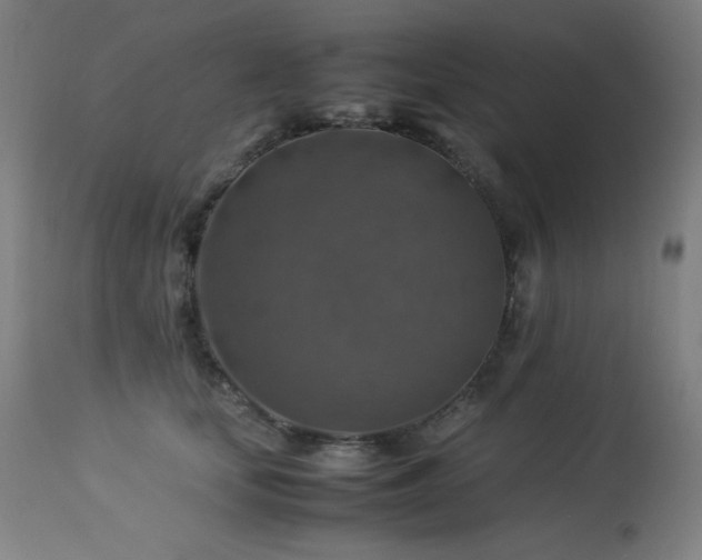X0000114170659200910081524