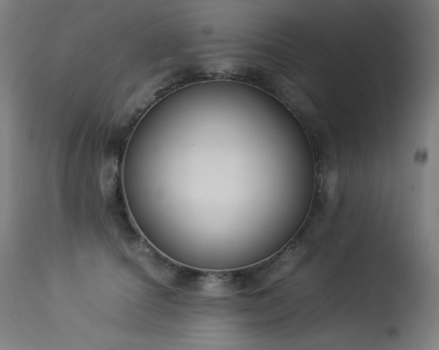 X0000114170660200910081524