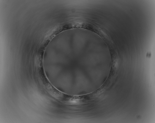 X0000114170661200910081524