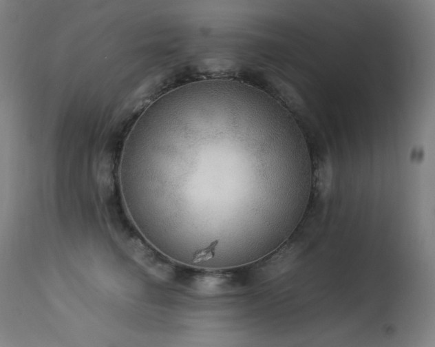 X0000114170662200910081524