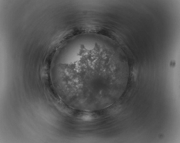 X0000114170663200910081524