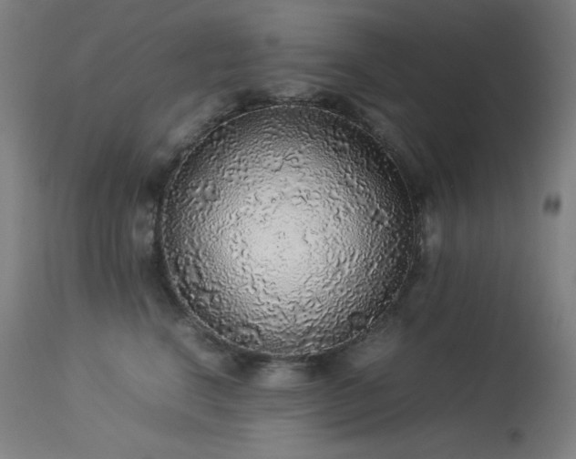 X0000114170664200910081524