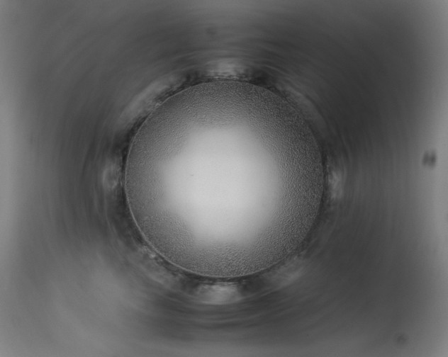 X0000114170665200910081524