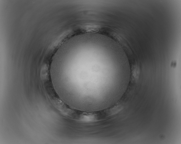 X0000114170667200910081524