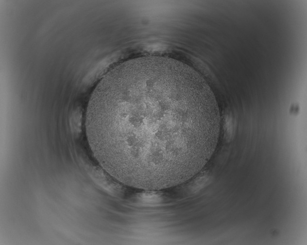 X0000114170668200910081524