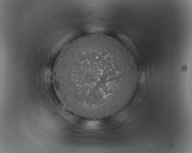 X0000114170669200910081524