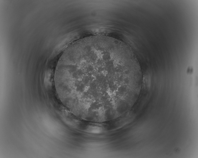 X0000114170671200910081524