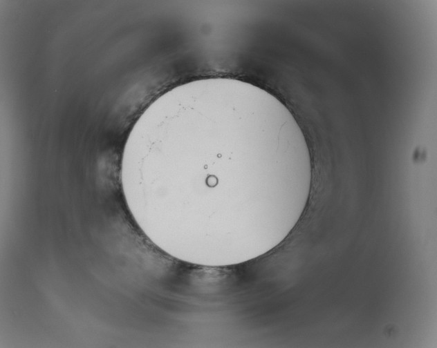 X0000114170672200910081524