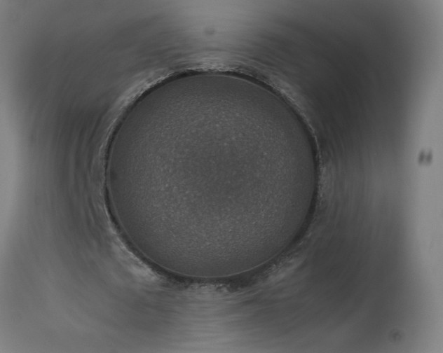 X0000114170673200910081523