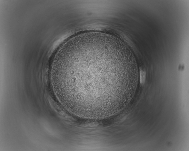 X0000114170675200910081523
