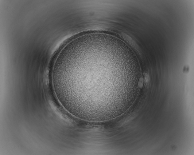 X0000114170676200910081523