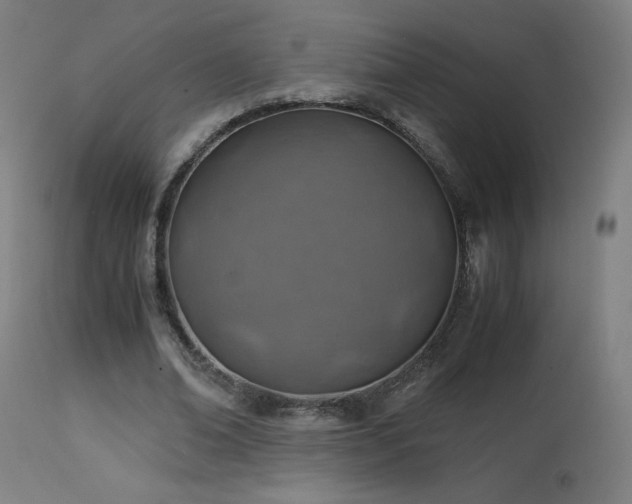 X0000114170678200910081523