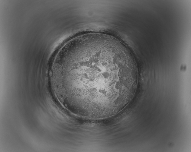 X0000114170679200910081523