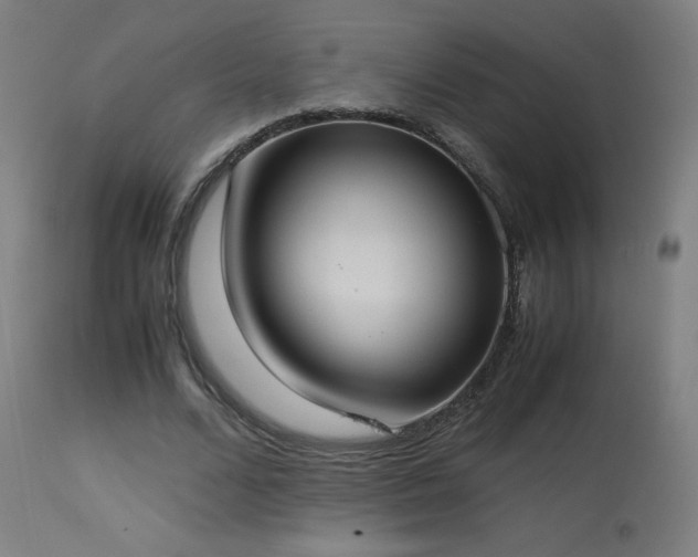 X0000114170680200910081523