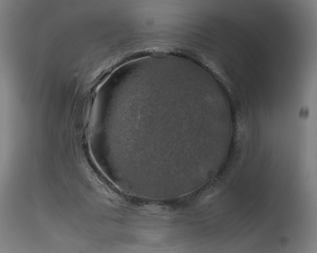 X0000114170681200910081523