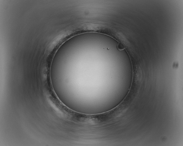 X0000114170683200910081523
