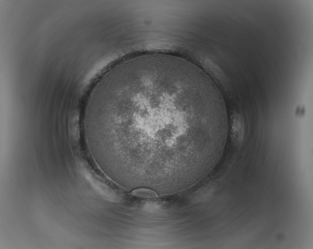 X0000114170684200910081523