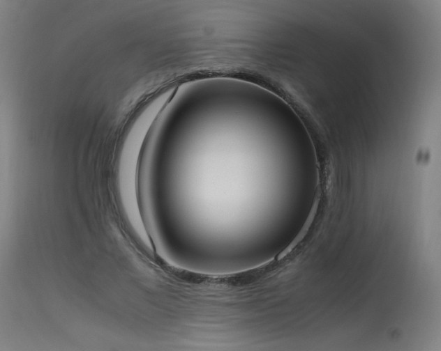 X0000114170685200910081523
