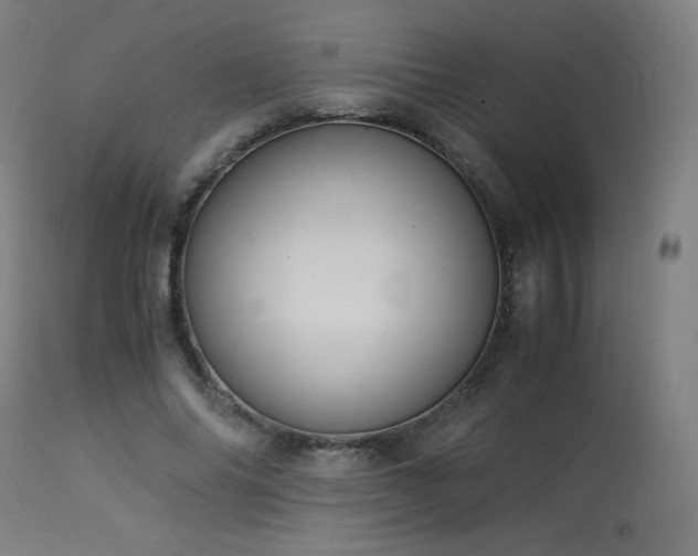 X0000114170686200910081523