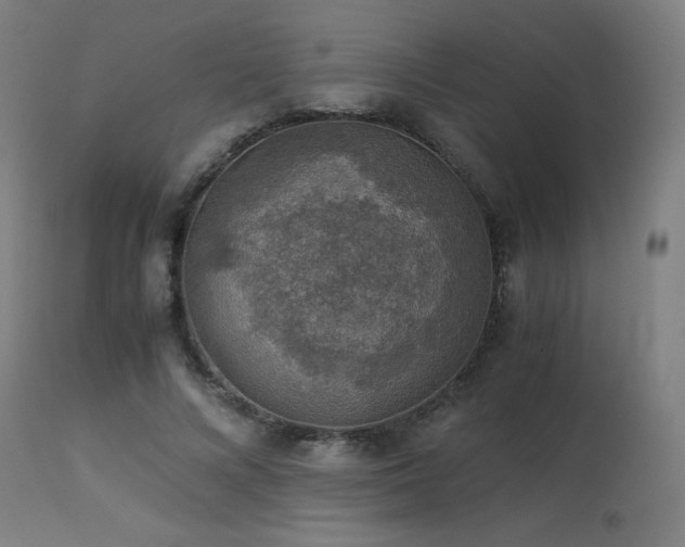 X0000114170688200910081523