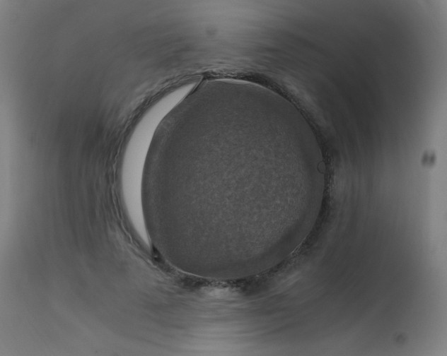 X0000114170689200910081523