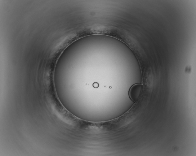 X0000114170690200910081523