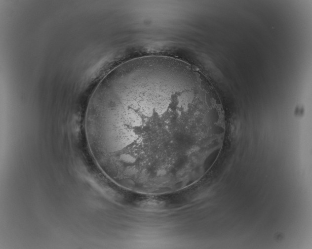 X0000114170691200910081523