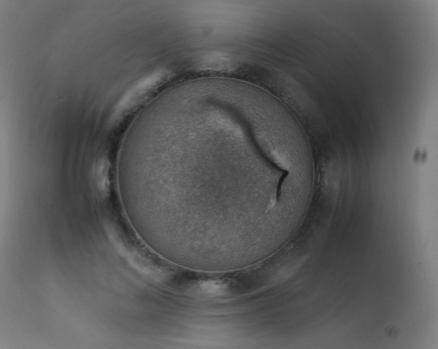 X0000114170692200910081523