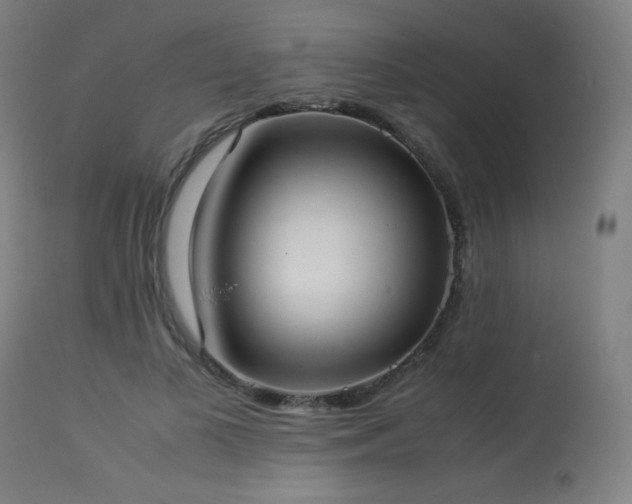 X0000114170693200910081523