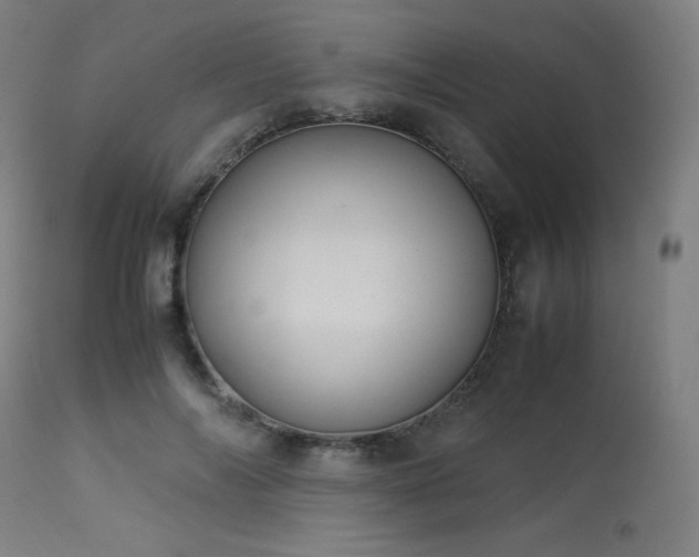 X0000114170694200910081523