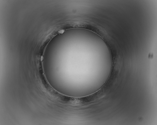 X0000114170695200910081523