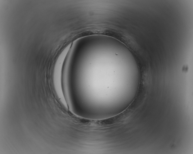 X0000114170697200910081523