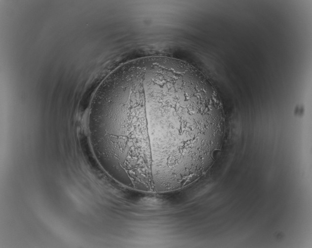 X0000114170699200910081523