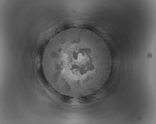 X0000114170703200910081523