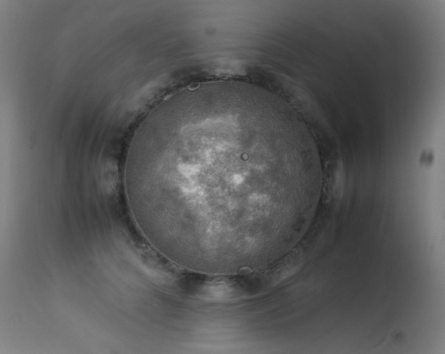 X0000114170704200910081523