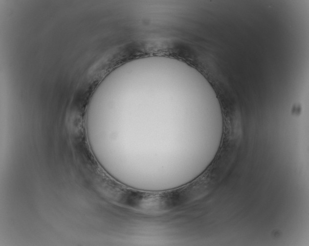 X0000114170705200910081523