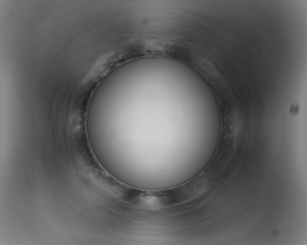 X0000114170706200910081523