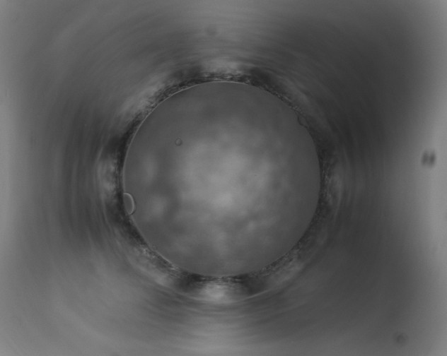 X0000114170708200910081523
