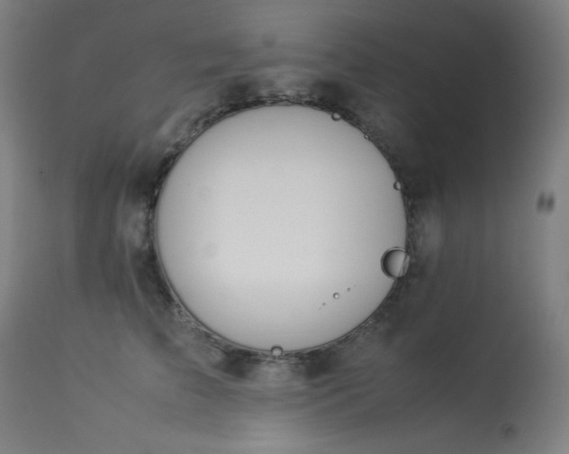 X0000114170709200910081523