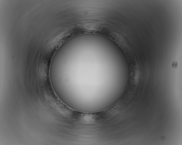 X0000114170710200910081523